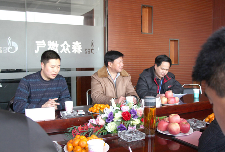 林口县政府与沈阳振华地产评估与咨询有限公司燃气项目洽谈.png